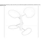 LED ceiling lamp Ayranci