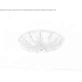 Murano glass ceiling lamp Araua