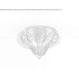 Murano glass ceiling lamp Laroque