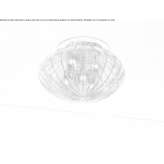 Murano glass ceiling lamp Secaucus