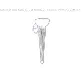 Venetian crystal wall lamp Stretham