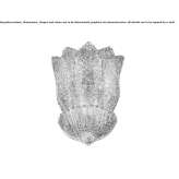 Venetian crystal wall lamp Dhuizon