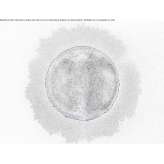 LED wall lamp made of fiberglass Bosio