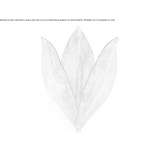 Metal wall lamp Dobrich