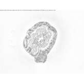 Kinkiet LED ze szkła i aluminium Poseritz