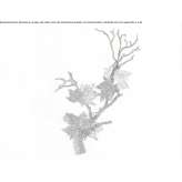 Lampa ścienna LED wykonana ręcznie z brązu Cordon