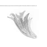 Aluminiowy kinkiet LED Bedburg