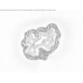 LED wall lamp made of glass and aluminum Poseritz