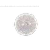 Handmade bronze wall lamp Semeac