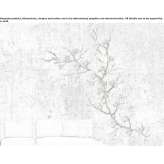 Ręcznie wykonana lampa ścienna z brązu Gjocaj