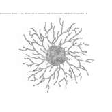 Handmade bronze wall lamp Alpaugh