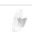 Lampa ścienna LED wykonana ręcznie z brązu Iquitos