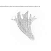 Aluminiowy kinkiet LED Bedburg