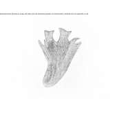 Aluminum LED wall lamp Bedburg