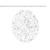 Terrazzo LED wall lamp Shirley