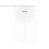 LED floor lamp Morengo