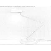 With a metal table lamp with a swing arm Kolchyno