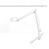 Adjustable LED clamp lamp Tradate