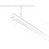 Track-Light Casin