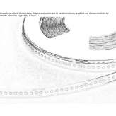 LED strip lighting Chiaulis