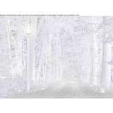 Lampa uliczna LED z litego drewna Hopa
