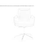 Office chair with armrests and a 5-star base Anamoros