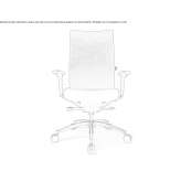 Swivel office chair with a 5-star base Bavleny