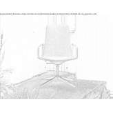 Office chair with armrests and a 4-star base Cergnago