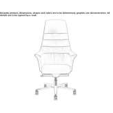 Executive chair with 5-star base Venecia