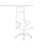 Executive chair Acobamba