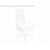 Executive chair with high backrest and aluminum base Nizbor