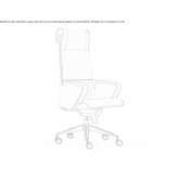 Swivel executive chair Coaling