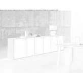 Office cabinet with hinged doors Obrowo
