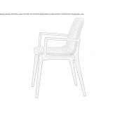 Chair with armrests Grudki