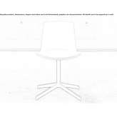 Chair with a 4-star base Chameza