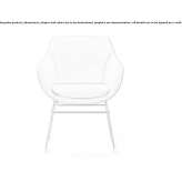 A chair based on a sled with armrests Knezdub