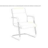 Fabric chair on supports with armrests Rozavlea