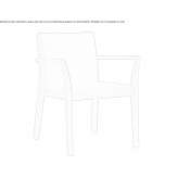 Solid wood chair with armrests Buso