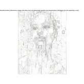 The author made an artistic print Antrain