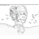The author made an artistic print Antrain