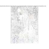 The author made an artistic print Antrain