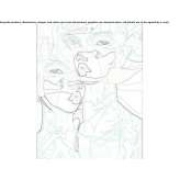 The author made an artistic print Antrain