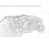 The author made an artistic print Antrain