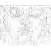 The author made an artistic print Antrain