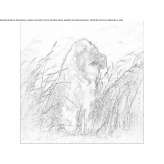 The author made an artistic print Antrain