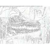 The author made an artistic print Antrain