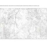 The author made an artistic print Antrain