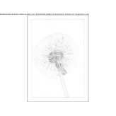 The author made an artistic print Antrain
