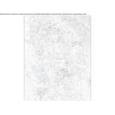 The author made an artistic print Antrain