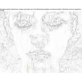 The author made an artistic print Antrain